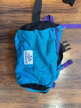 Gregory Teal and Purple Men’s Waist Pack